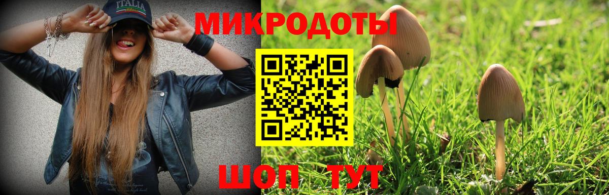 Псилоцибиновые грибы Cubensis Губкинский