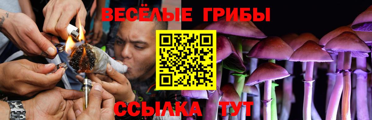 Губкинский  Псилоцибиновые грибы GOLDEN TEACHER  купить наркотик  Вход с VPN 